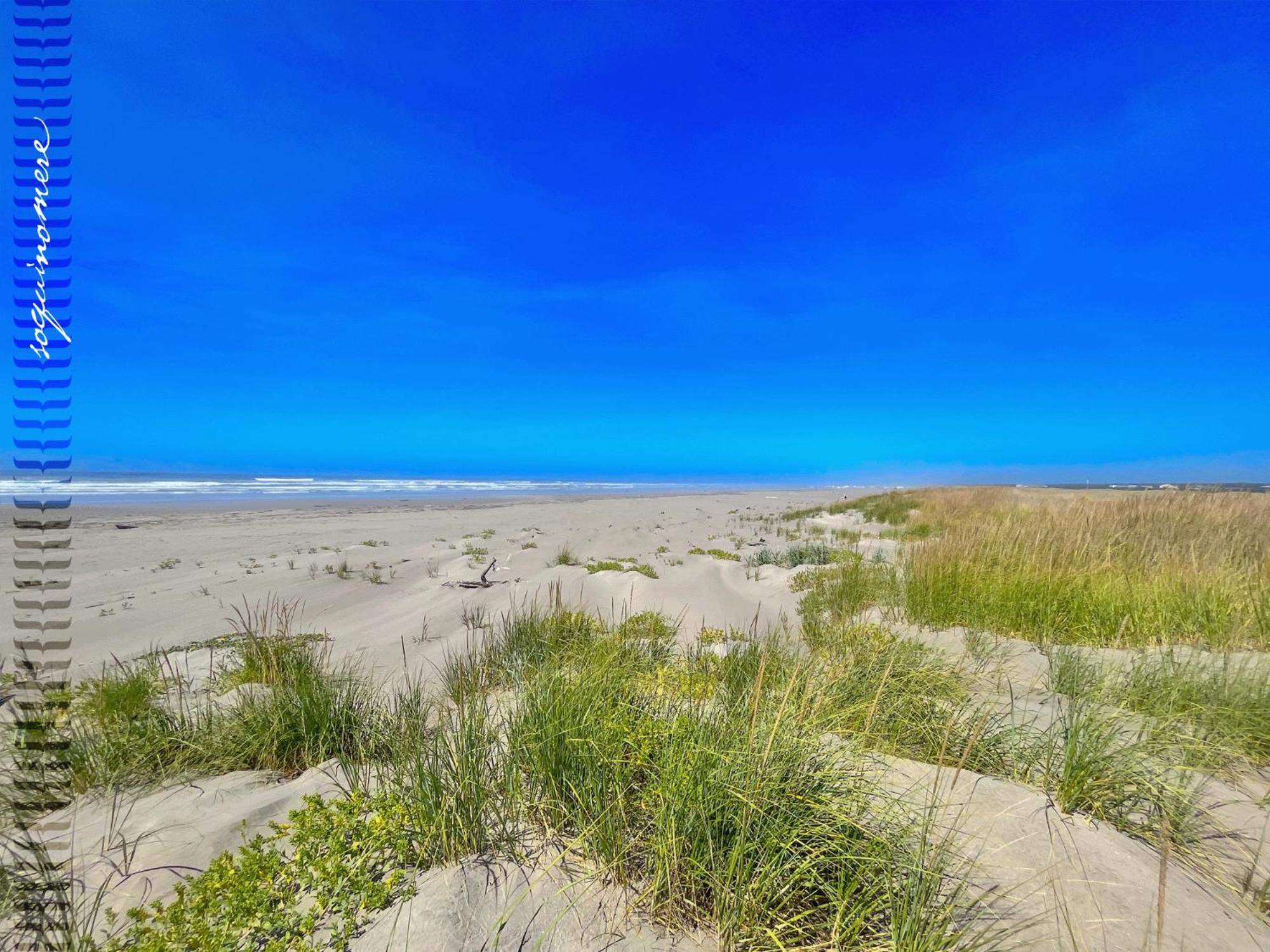 Tide Pool Cabin, A Soquinomere Private Hotel On The Dunes, Downtown Ocean Shores Esterno foto