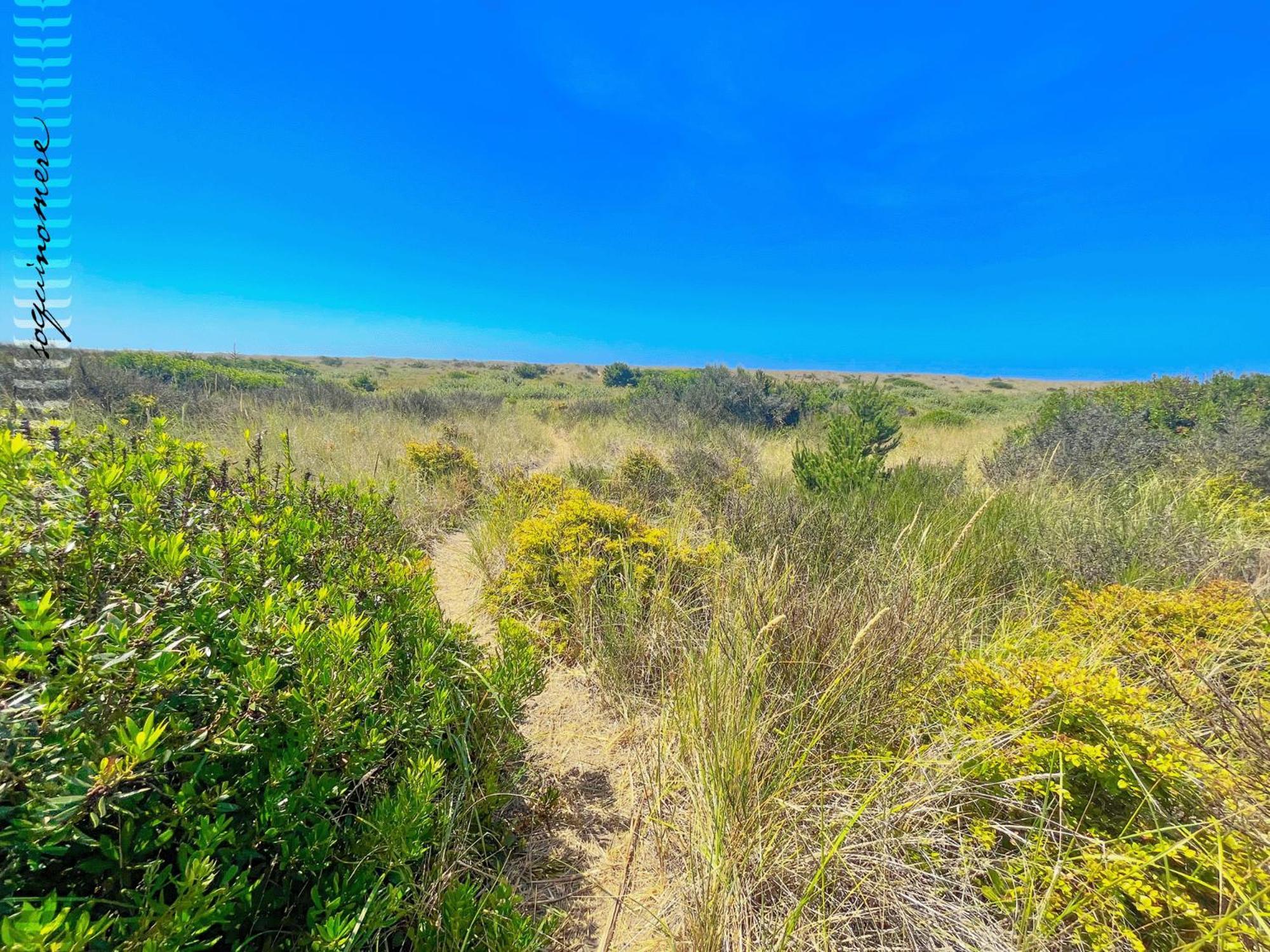 Tide Pool Cabin, A Soquinomere Private Hotel On The Dunes, Downtown Ocean Shores Esterno foto